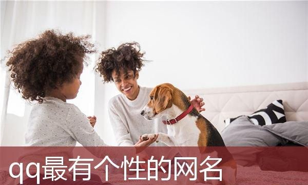 如何选择与使用流行网名：一份详细指南图1