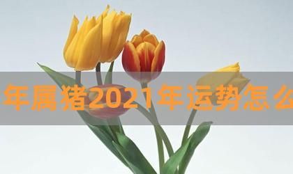 算事业运势2022免费：如何掌握事业发展的风向？图1