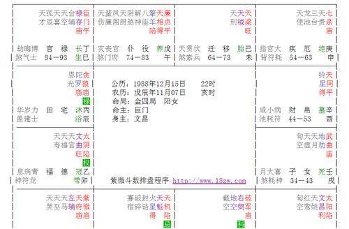 紫微命盘自动解读图1