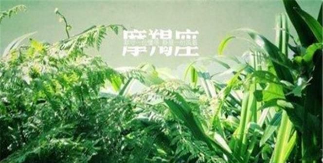 星座命盘免费解析：探索自我与人生的奥秘图1