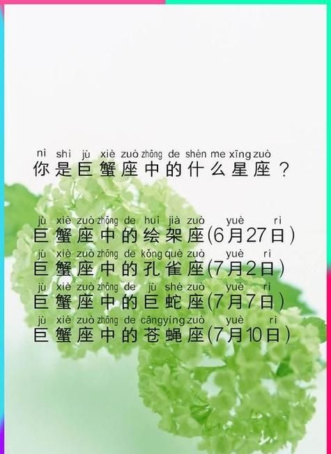 巨蟹座：真傻还是天才？图1