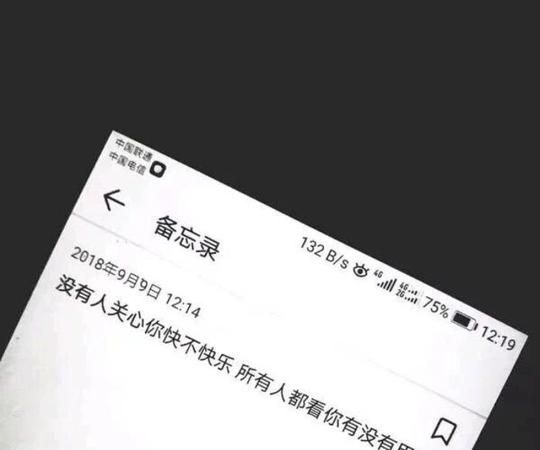 沉沦至极：探究社交媒体上的丧到极致的昵称图1