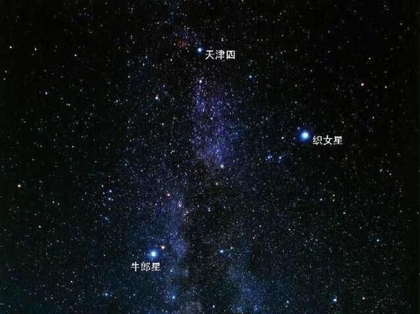 牛郎星对应的是什么星座图1