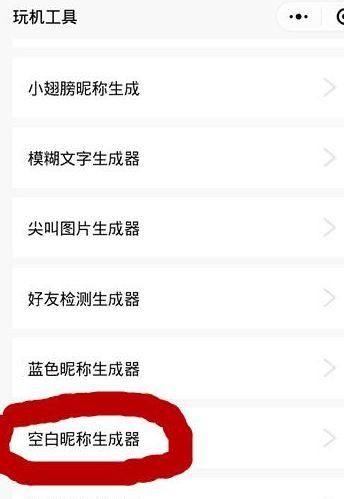 在线社交第一步：如何选择一个特别帅气的网名图1