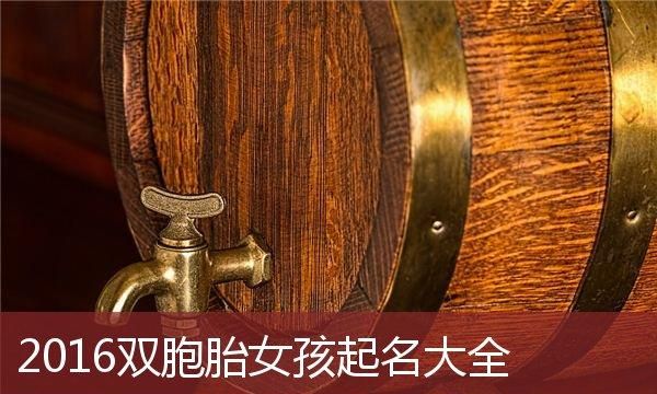 双胞胎起名大全免费：专业推荐图1