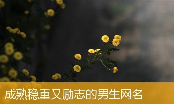 【男士网名成熟霸气的稳重】：如何让你的网络形象更融入现实生活图1