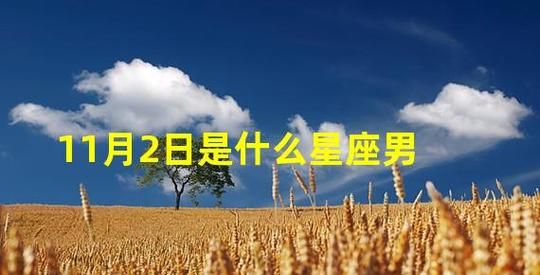 11月19日出生的是什么星座男？图1