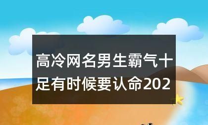 男生网名霸气超拽高冷四字图1