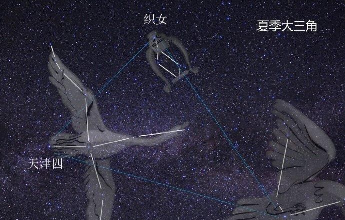 牵牛星与织女星位于哪个星座图1