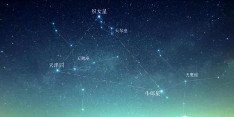 牛郎星属于什么星座呀图1