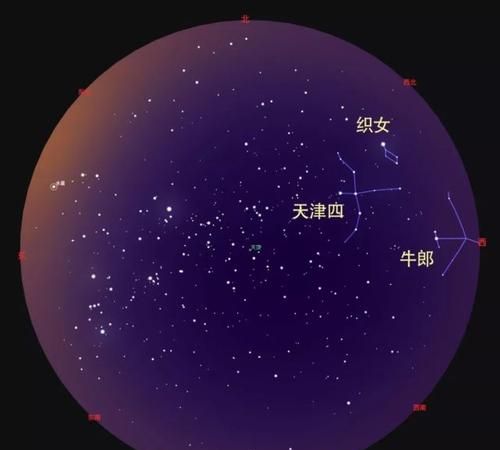 牛郎星：什么星座的第一亮星？图1