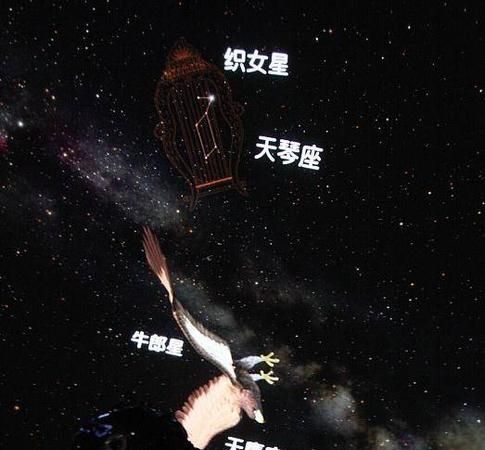 【解析】织女星牛郎星分别属于哪个星座图1