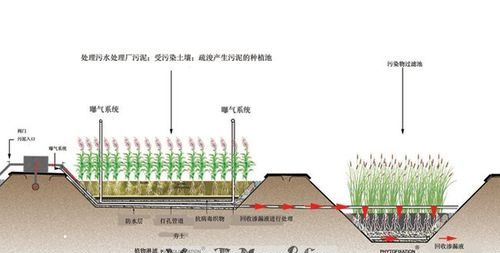 深度解析《周公解梦》中的“污泥”象征意义图1