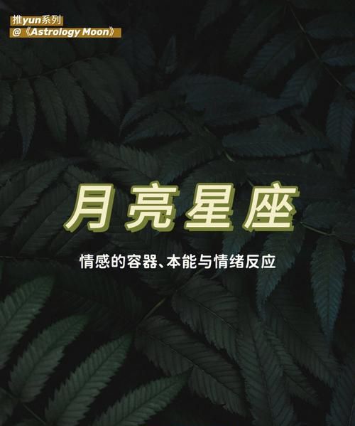 事业最成功的月亮星座图1