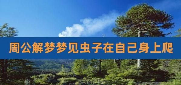 梦到虫子原版周公解梦：释疑、解惑、深度剖析图1