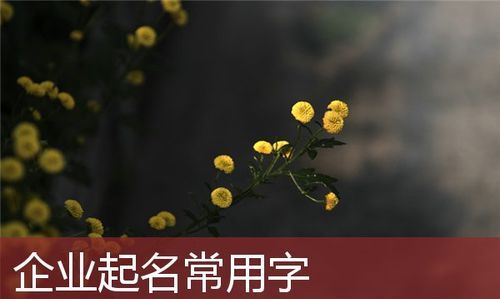 车队起名吉祥字大全图1