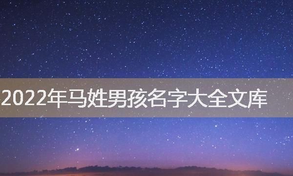 马姓100分独特男孩名字图1