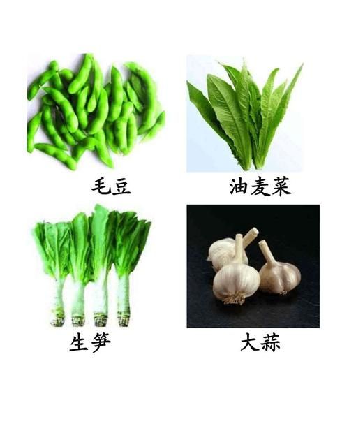 蔬菜名称大全500种图1