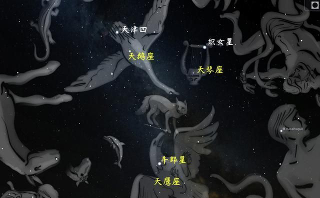 织女属于什么星座图1