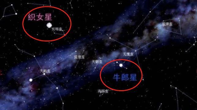 【织女座位于哪个星座】图1