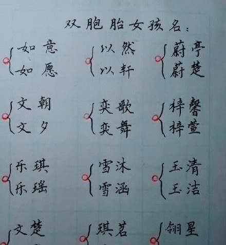 非常有寓意的双胞胎名字图1