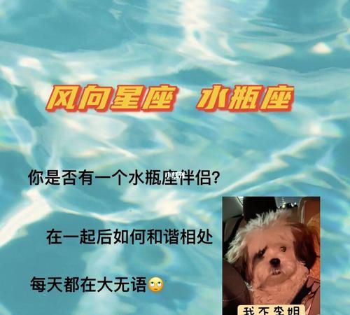 让水瓶女爱死你的方法图1