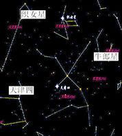 织女星属于哪个星座图1