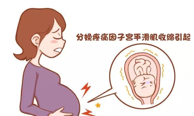 十二星座怀孕时间表：从受孕到分娩的全过程图1