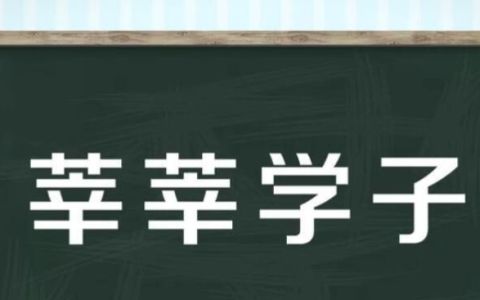 “莘莘学子”的意思及其背景解析