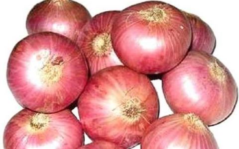 The Nutritional Benefits of Onion